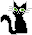 My pretty cat Spooky